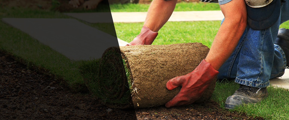 Hoschton Landscapers
